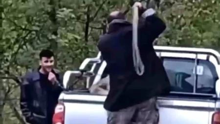 Trabzon’da Köpeğe Şiddet Uygulayan Kişi Gözaltına Alındı