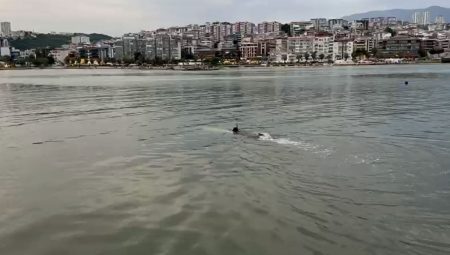 Deniz Kıyısında Kıyafet İhbarı